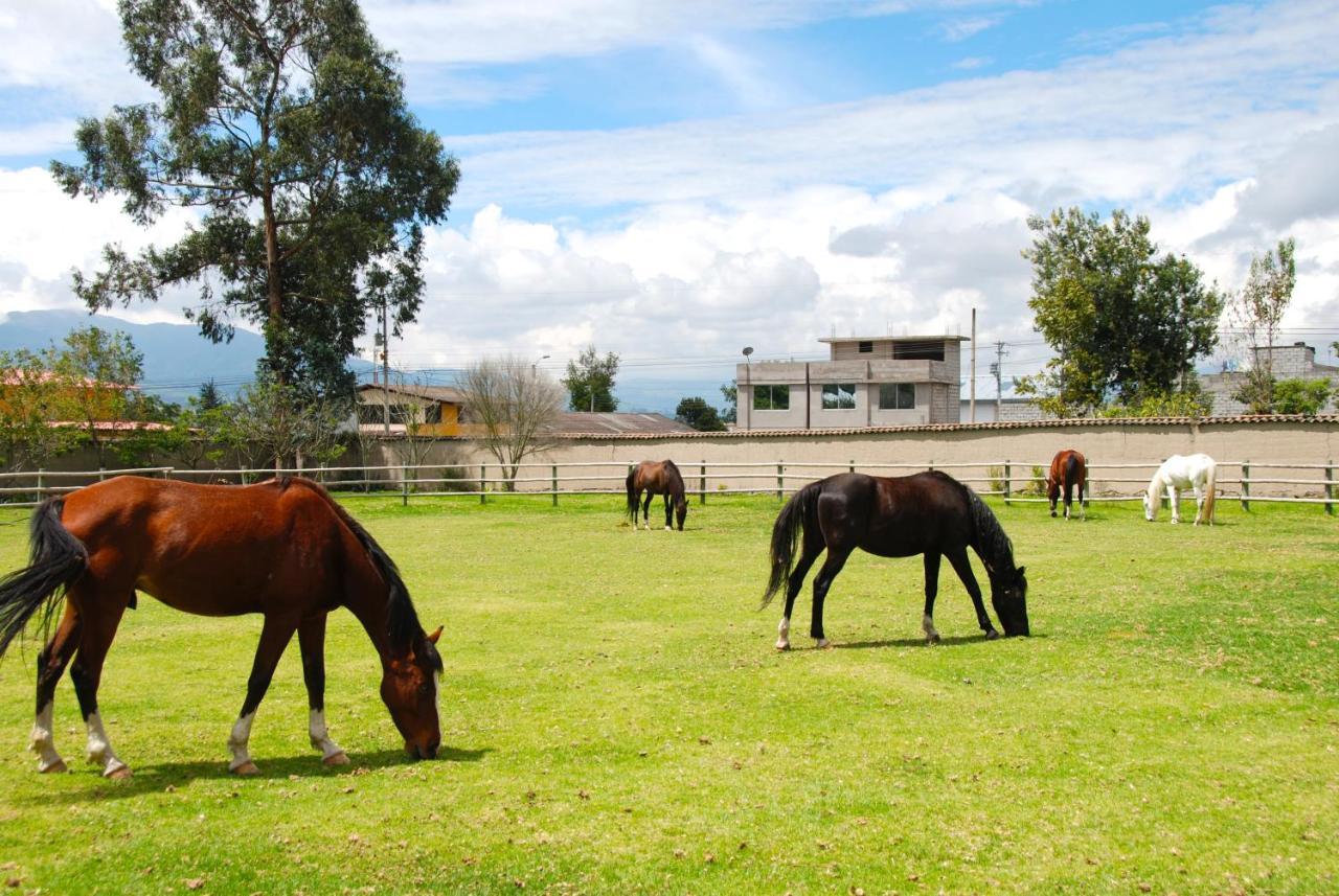 ホテル Hacienda Cusin オタバロ エクステリア 写真