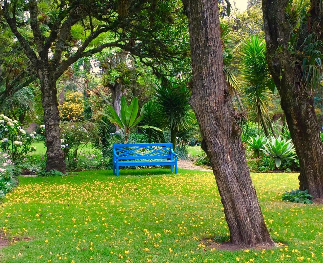 ホテル Hacienda Cusin オタバロ エクステリア 写真